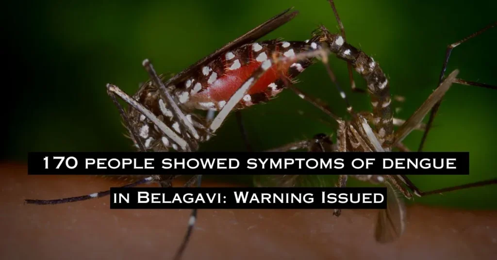 Dengue Increasing in Belagavi, Warning Issued