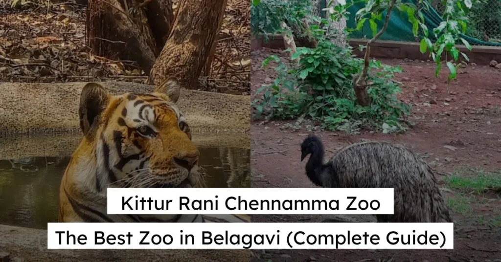 Kittur Rani Chennamma Zoo - The Best Zoo in Belagavi (Complete Guide)