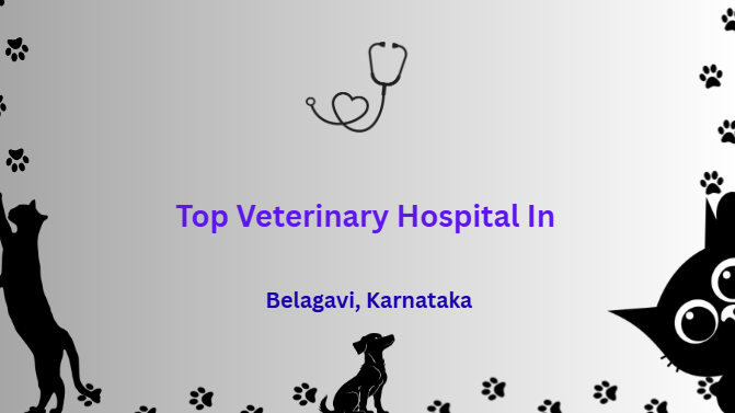 Top Veterinary Hospital In Belagavi, Karnataka