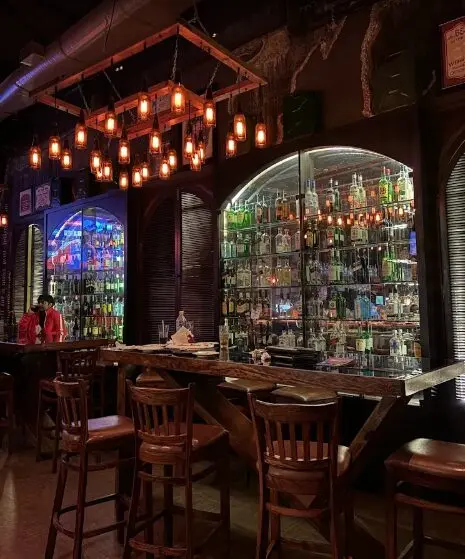 The Irish House
