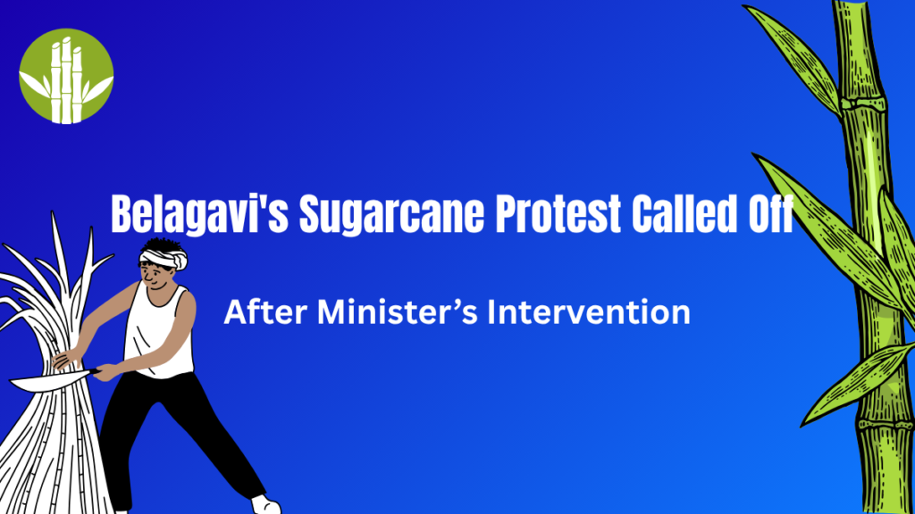 Belagavi's Sugarcane Protest Called Off After Minister’s Intervention