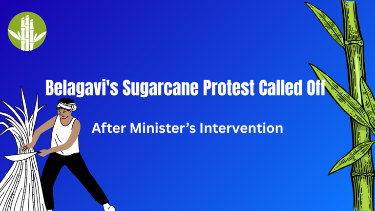 Belagavi's Sugarcane Protest Called Off After Ministerโs Intervention