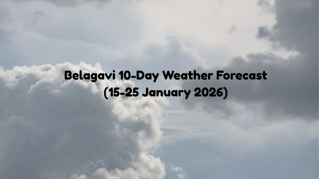 Weather report